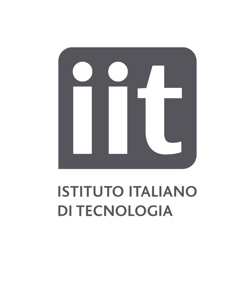IIT
